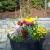 Planter by Signature Mark Landscapes