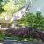 Results of maintenance pruning of Rhododendrons and Dogwood by SML