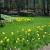 Residential design and installation by Signature Mark Landscapes