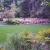 Residential design and installation by Signature Mark Landscapes